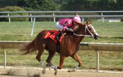 Delaware, Monmouth conditions books available