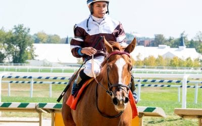 Sharing, Justify babies, and #NeverEclipsed: The week in social media