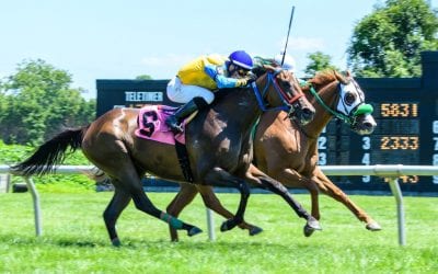 Ashby taking swing with formful vet Shifra Magician