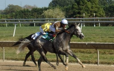 Shimmering Aspen retired after repeat Owners’ Day score