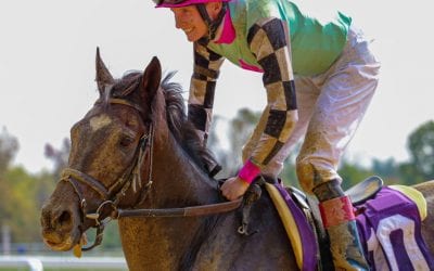 Busman’s holiday as Trevor McCarthy returns to Delaware