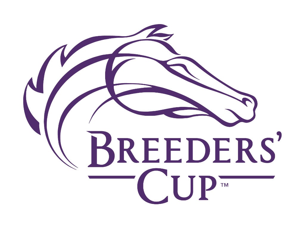 Breeders_Cup_Identity_Purple_269_TM (2)
