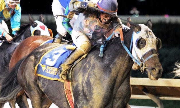 Shocker! Castle Bound rallies for WVBC upset