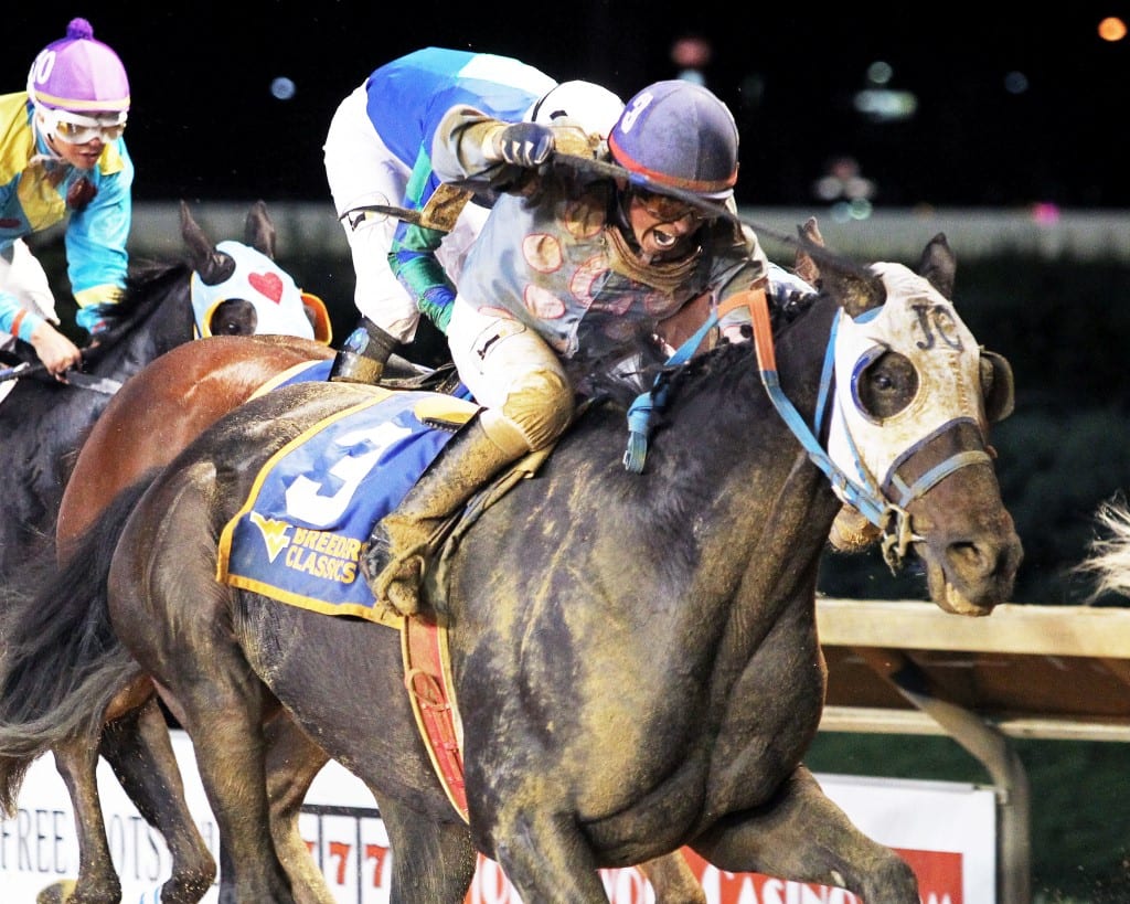 CASTLE BOUND – West Virginia Breeders Classic – 10-12-19 – R08 – CT – Finish 03 Castle Bound