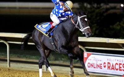 Off to the Races podcast: Carol Holden featured