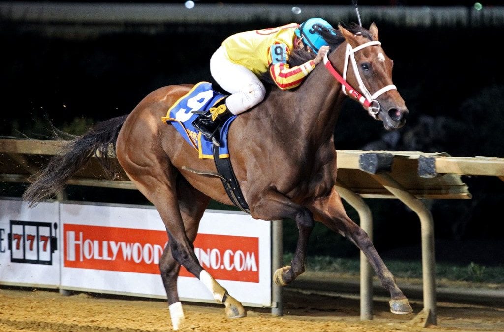Charles Town picks and analysis: November 19