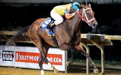 Charles Town picks and analysis: November 19