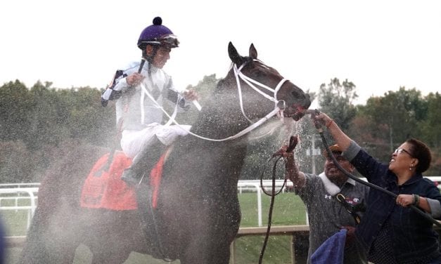 Md. Million Classic: Forest Fire wins as sires spread the riches