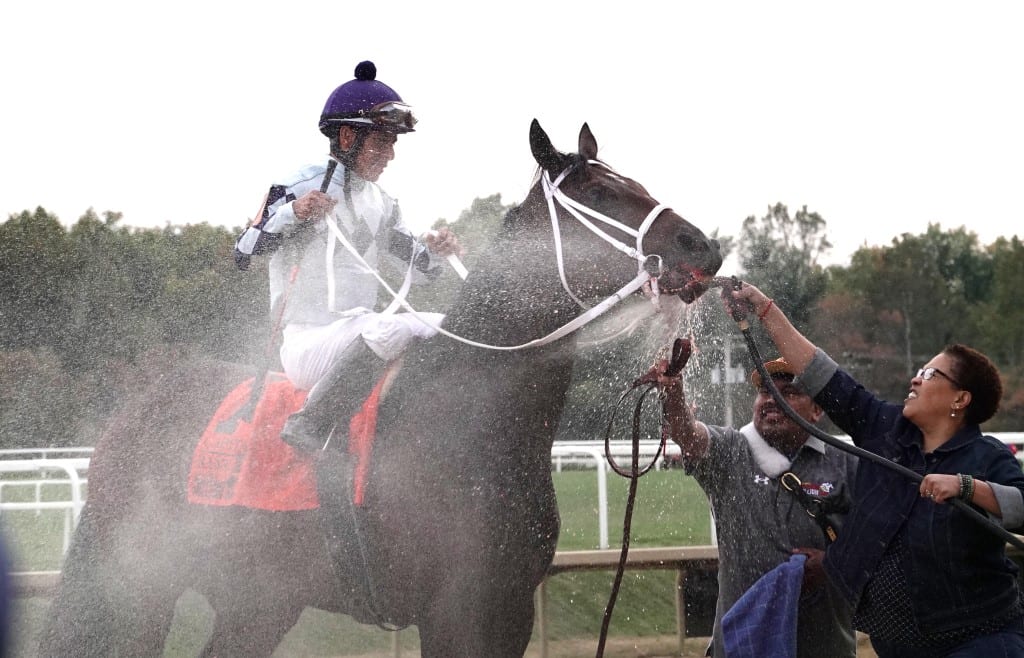 forest fire-bath md million classic Forest Fire