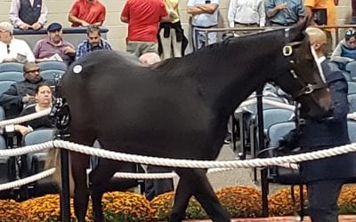 Sales Tales: “She fit the bill”