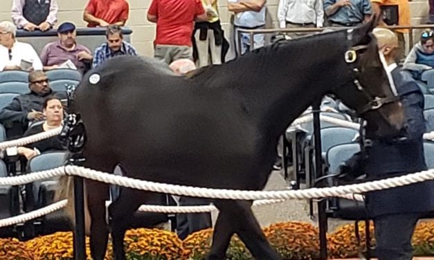 Sales Tales: “She fit the bill”