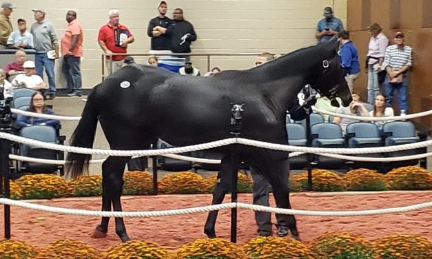 Sales Tales: The secretive Keystone State colt