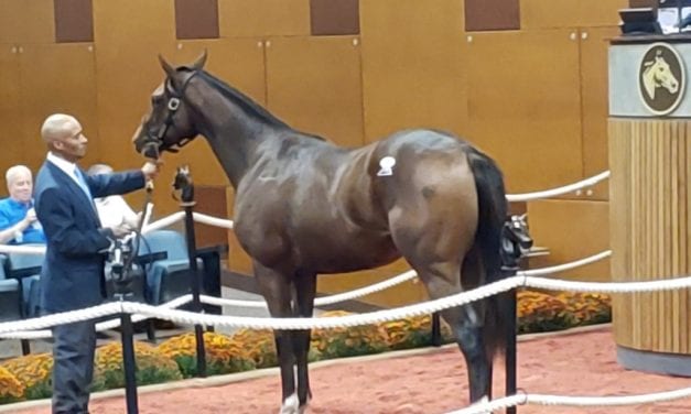 Sales Tales: More Crabcakes, please