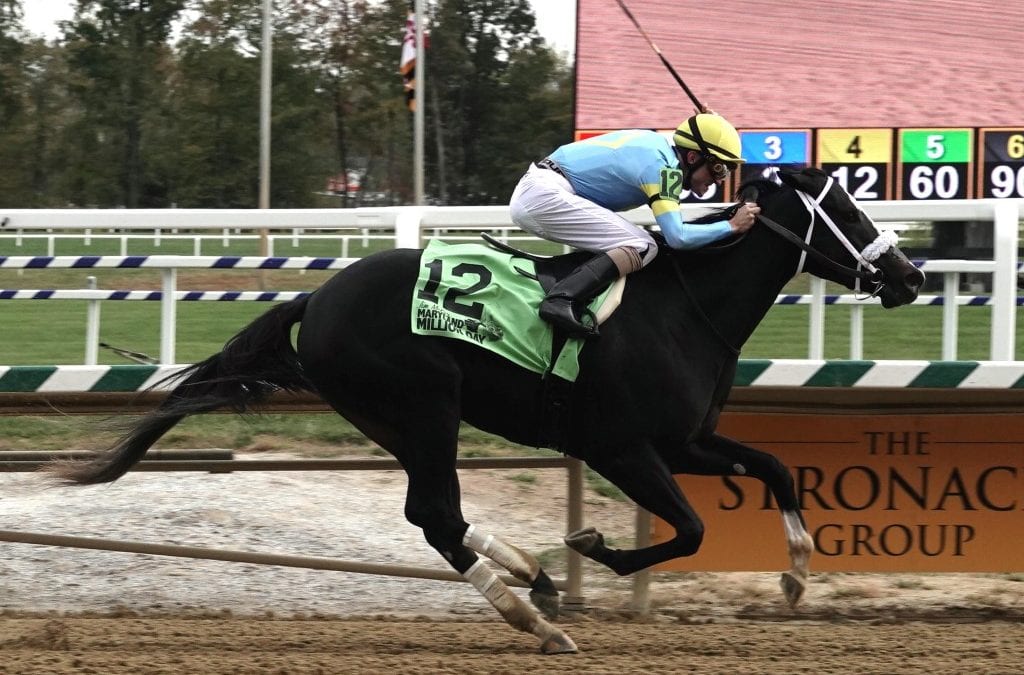 Laurel Park picks and ponderings October 23, 2021