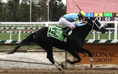 Laurel Park picks and ponderings October 23, 2021