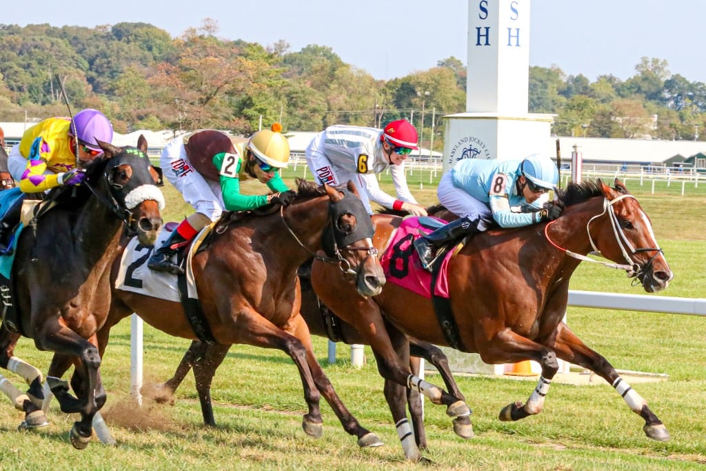 o dionysus japan turf