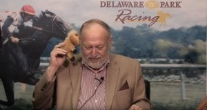 EXCLUSIVE: We interview Bungee the handicapping horse