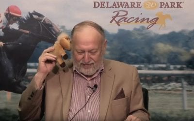 EXCLUSIVE: We interview Bungee the handicapping horse