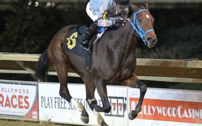 Boundtobebad, Normandy Invasion, Breeders’ Cup: The week in social media