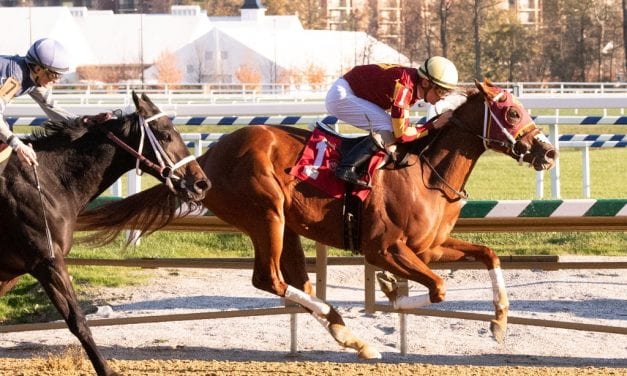 O’Dwyer duo tackles Smart Halo