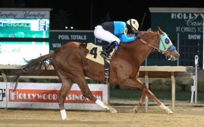 Penguin Power shortens up in It’s Only Money