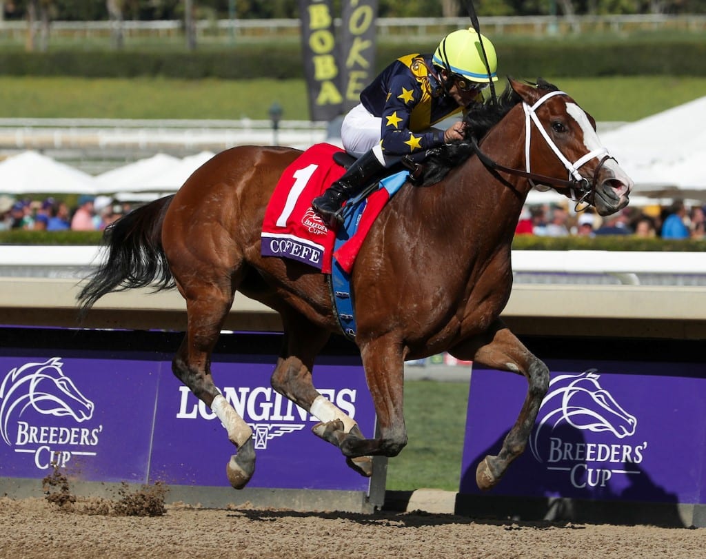 covfefe bc filly sprint Covfefe