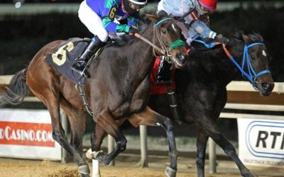 Weekend: Angle of Attack slashes to Casey upset