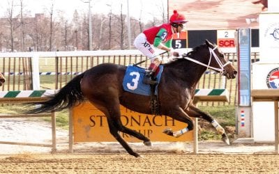 Horsemen: Racing protesters lack knowledge, common sense