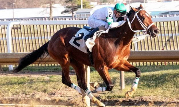 Hello Beautiful dazzles in Juvenile Filly Championship win