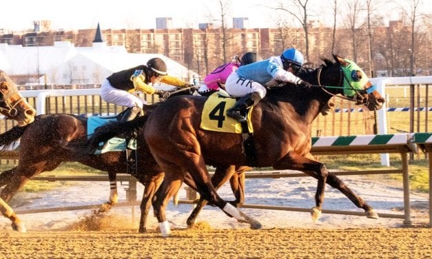 Lewisfield, Anna’s Bandit score in Laurel stakes