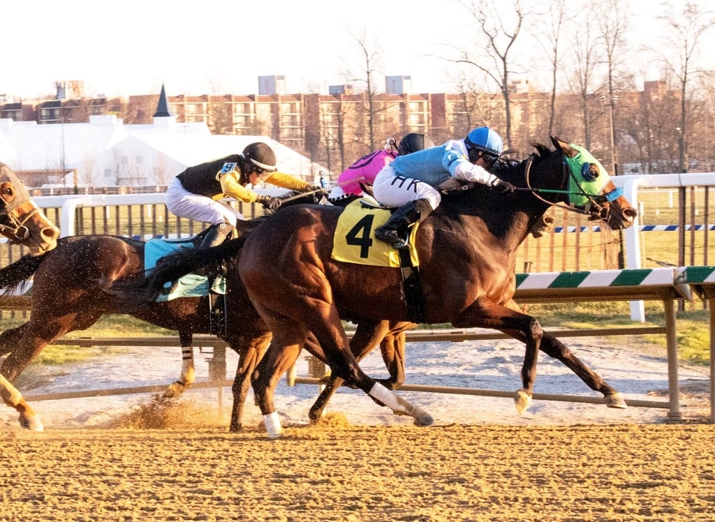 Lewisfield 001 Lewisfield