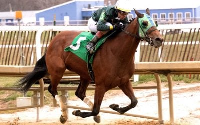 Maryland Spectacular and PA-breds: The week in social media