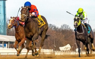 ARCI: Most positives therapeutic overages