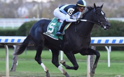 Coronavirus, Florida Derby, more: The week in social media