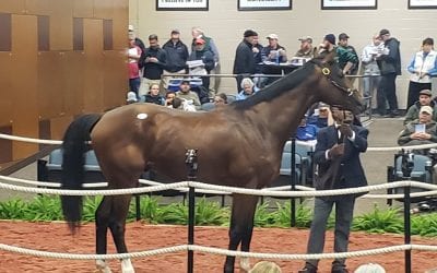 Fasig-Tipton to combine two sales at December mixed