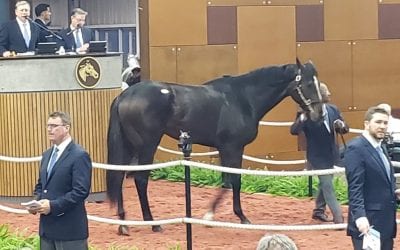 Besecker dispersal powers boffo Fasig-Tipton sale