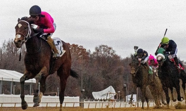 Five questions for this week’s Midlantic stakes