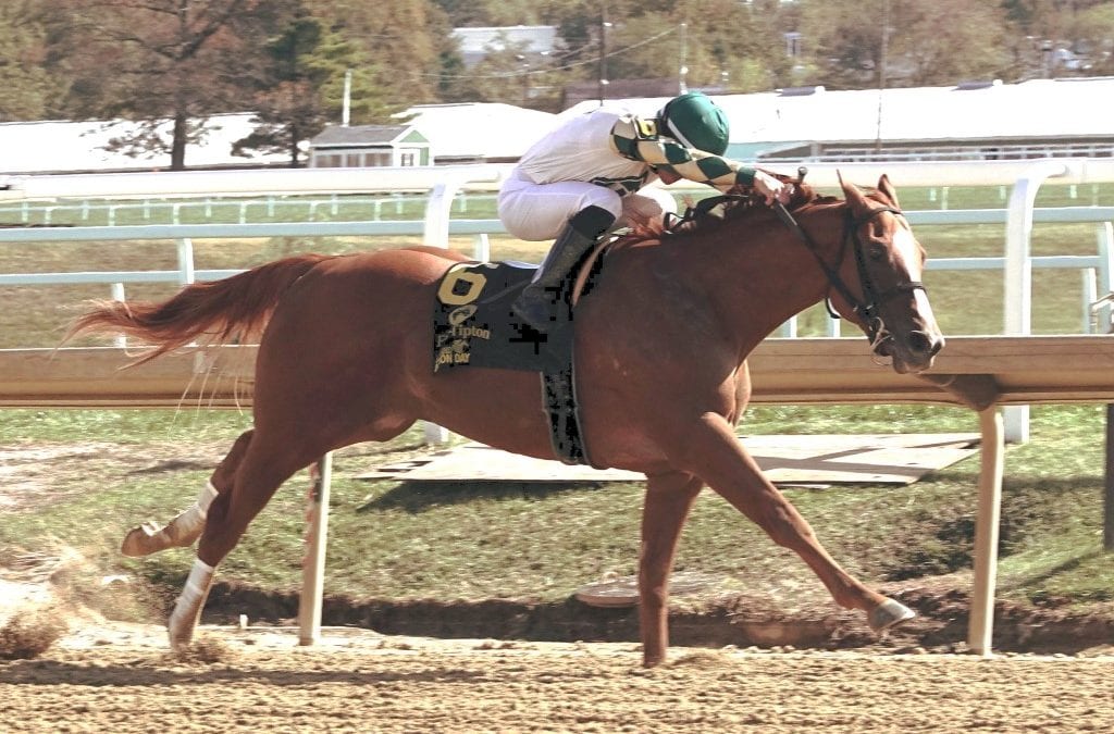 MD Million: Ournationonparade headlines Classic