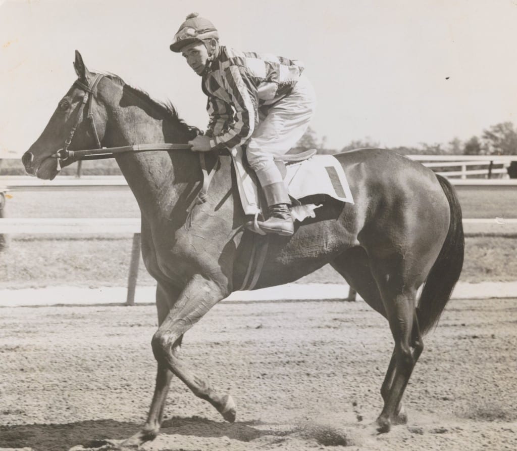 Keeneland Library Thoroughbred Times Collection – Cicada, E. Nelson up, after Blue Hen win at Delaware Park, 05.30.1961 Cicada