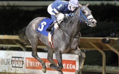 Distaffers seek first stakes win in Original Gold