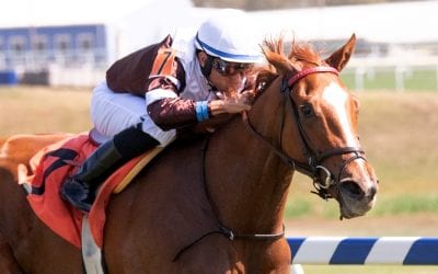 Sharing, Happy Saver, more: The week in social media