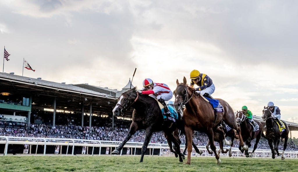 bricks-and-mortar breeders cup turf Bricks and Mortar