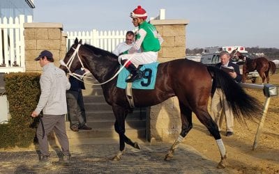 Joe Kelly Award and more: The week in social media