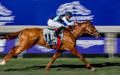 Regional Eclipse angles and Pegasus romp: The week in social media