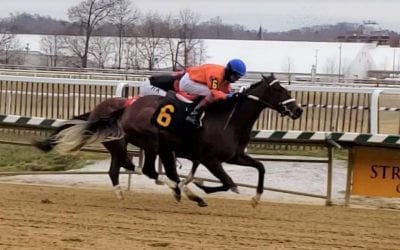 Laurel Park picks and ponderings January 8, 2021