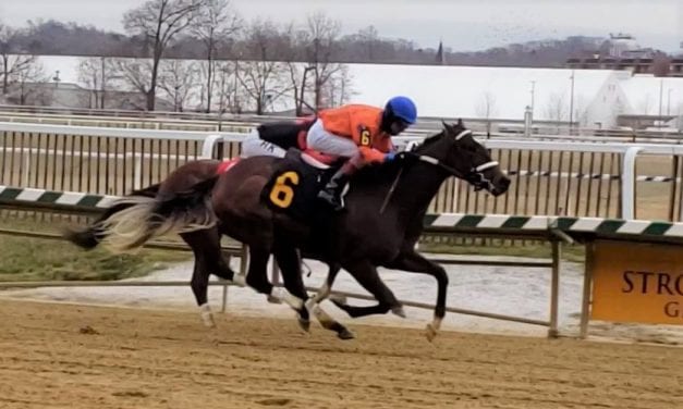 Laurel Park picks and ponderings December 20, 2020