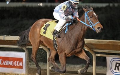 Muad’dib, Late Night Pow Wow’s bro, among recent maiden stars