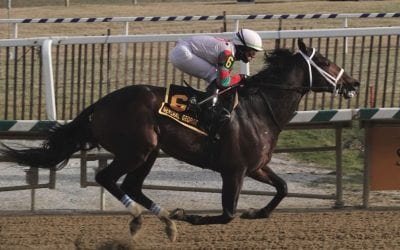 Md. Commission approves Lasix-free graded stakes