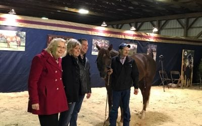 PA racing interests aim to protect Race Horse Development Fund