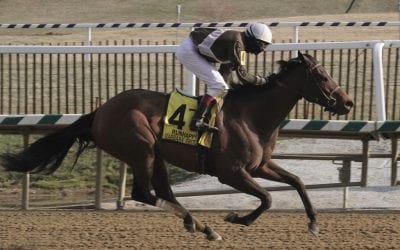 Majestic Reason, Tiz the Law: The week in social media